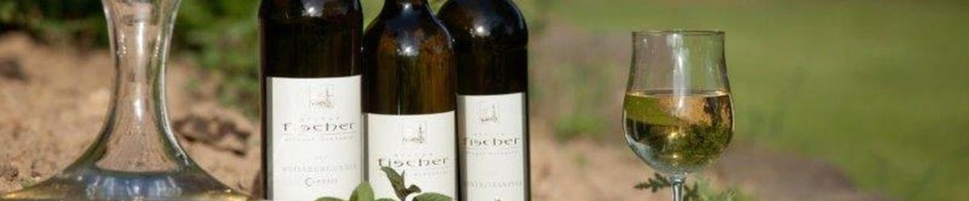 Weingut Fischer