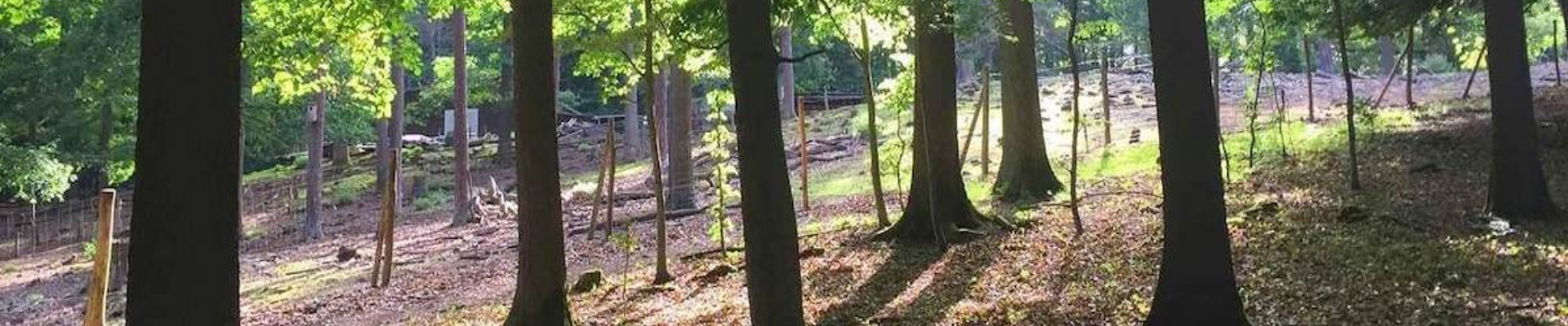 Wildpark Betzenberg