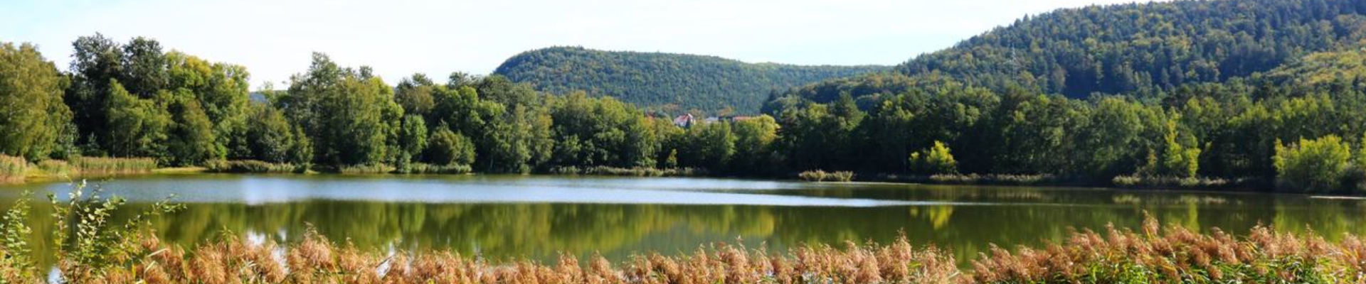 Silbersee Landstuhl