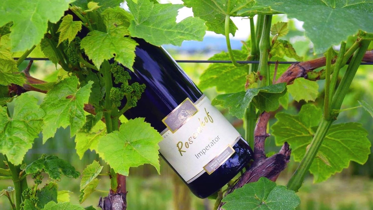 Wein und Sektgut Rosenhof