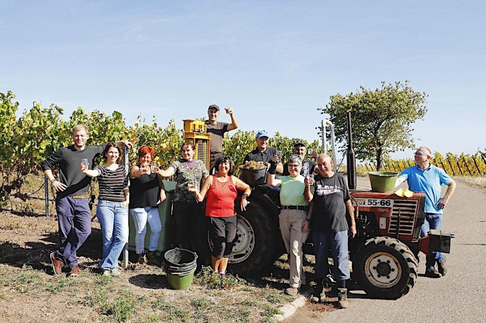 Weingut Meier in Weyher