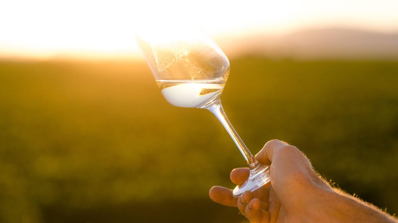 Weingut H&ouml;rner