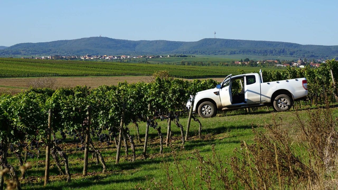 Weingut WoW Wolfgang Bender