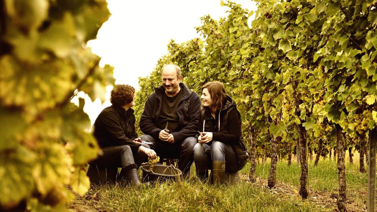 Weingut Kolb Kirchheim