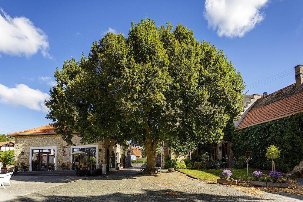 Weingut Bremer