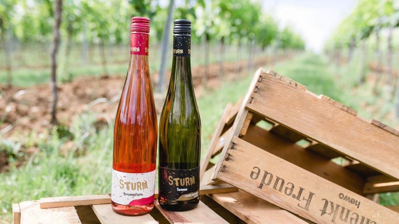 Weingut Sturm Ilbesheim
