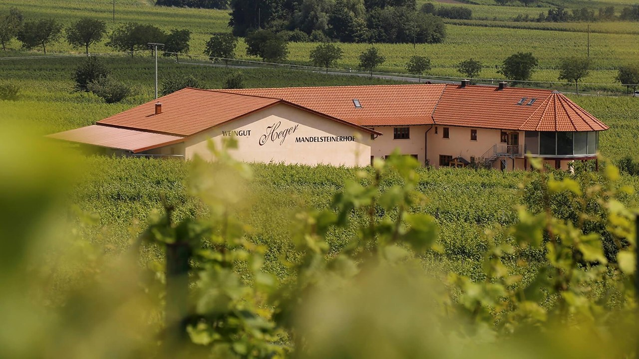 Weingut Heger
