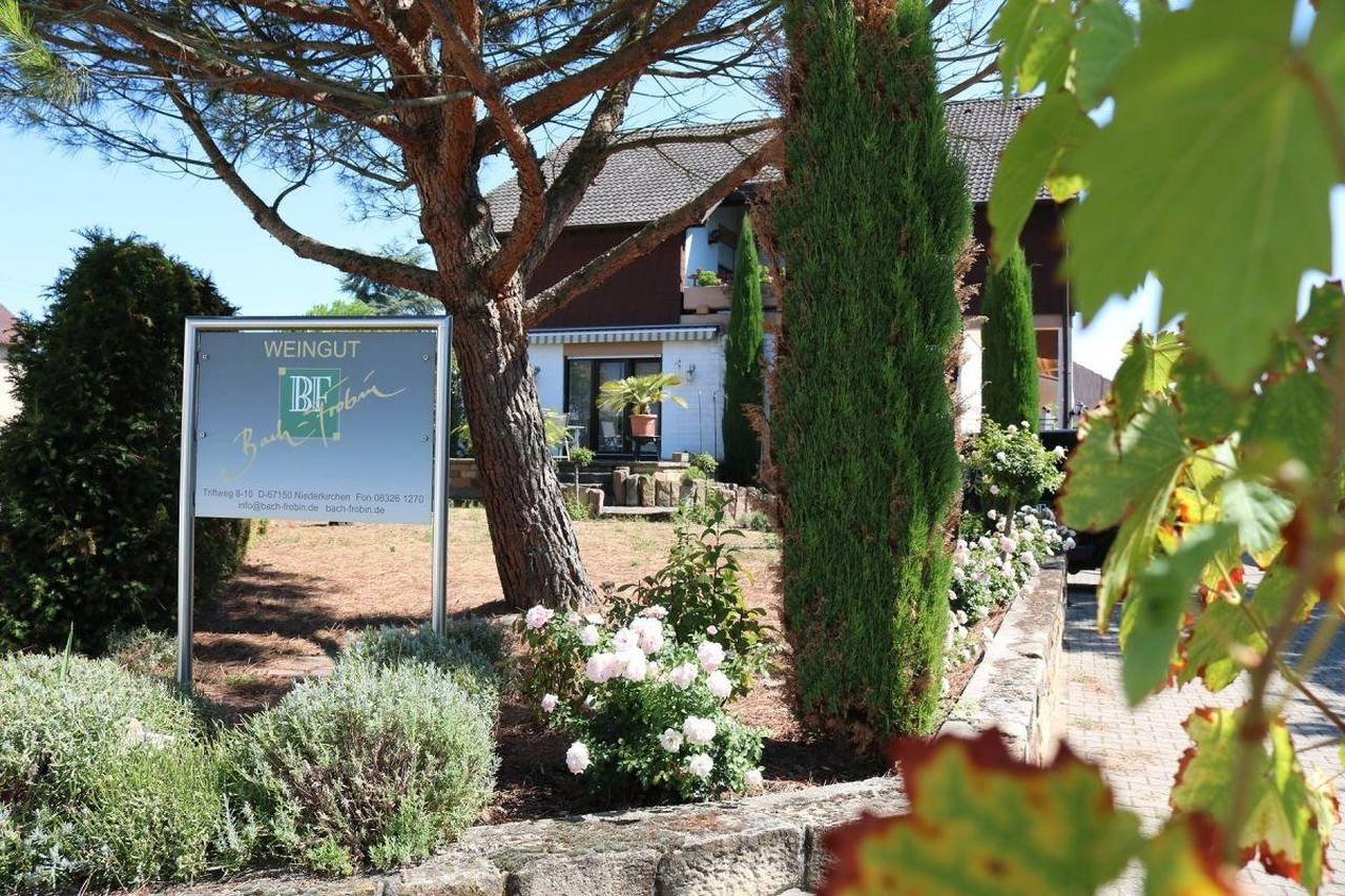 Weingut Bach-Frobin