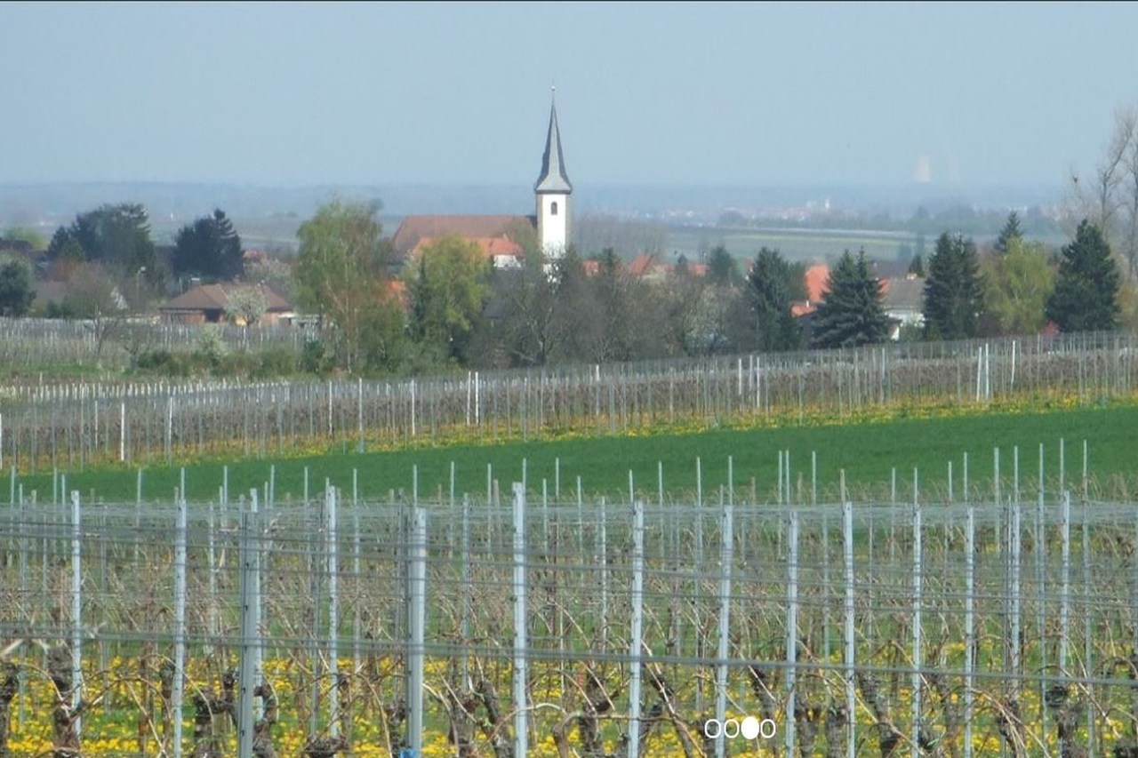 Weingut Geiger M&ouml;rzheim