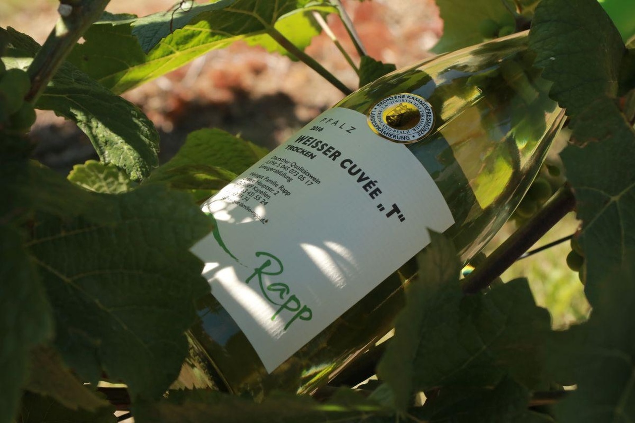 Weingut Rapp Kapellen-Drusweiler