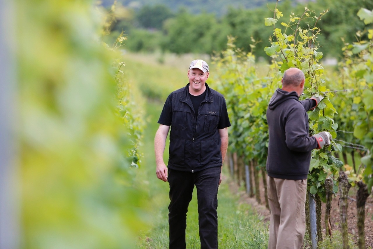 Weingut Spielmann-Schindler