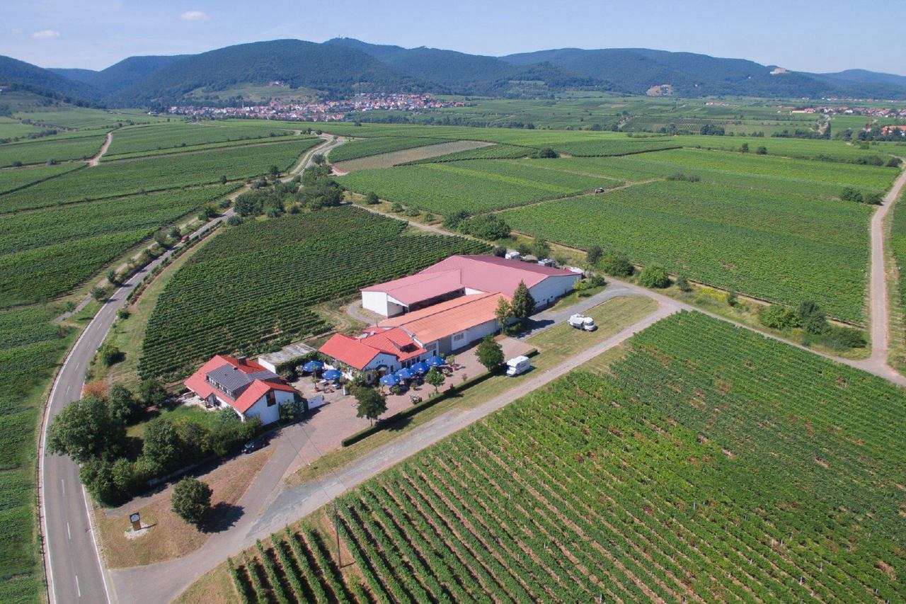 Weingut und Weingasthof Edel-Brauch