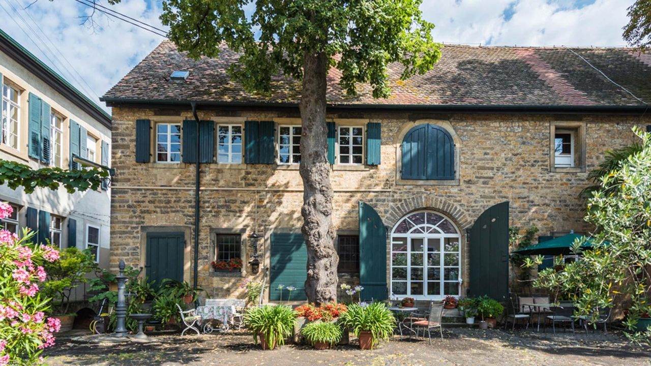 Weingut Lindenhof Forst