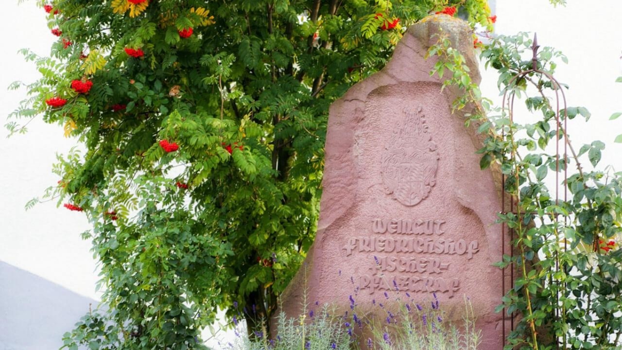 Weingut und G&auml;stehaus Friedrichshof