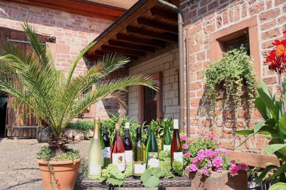 Weingut Oehl