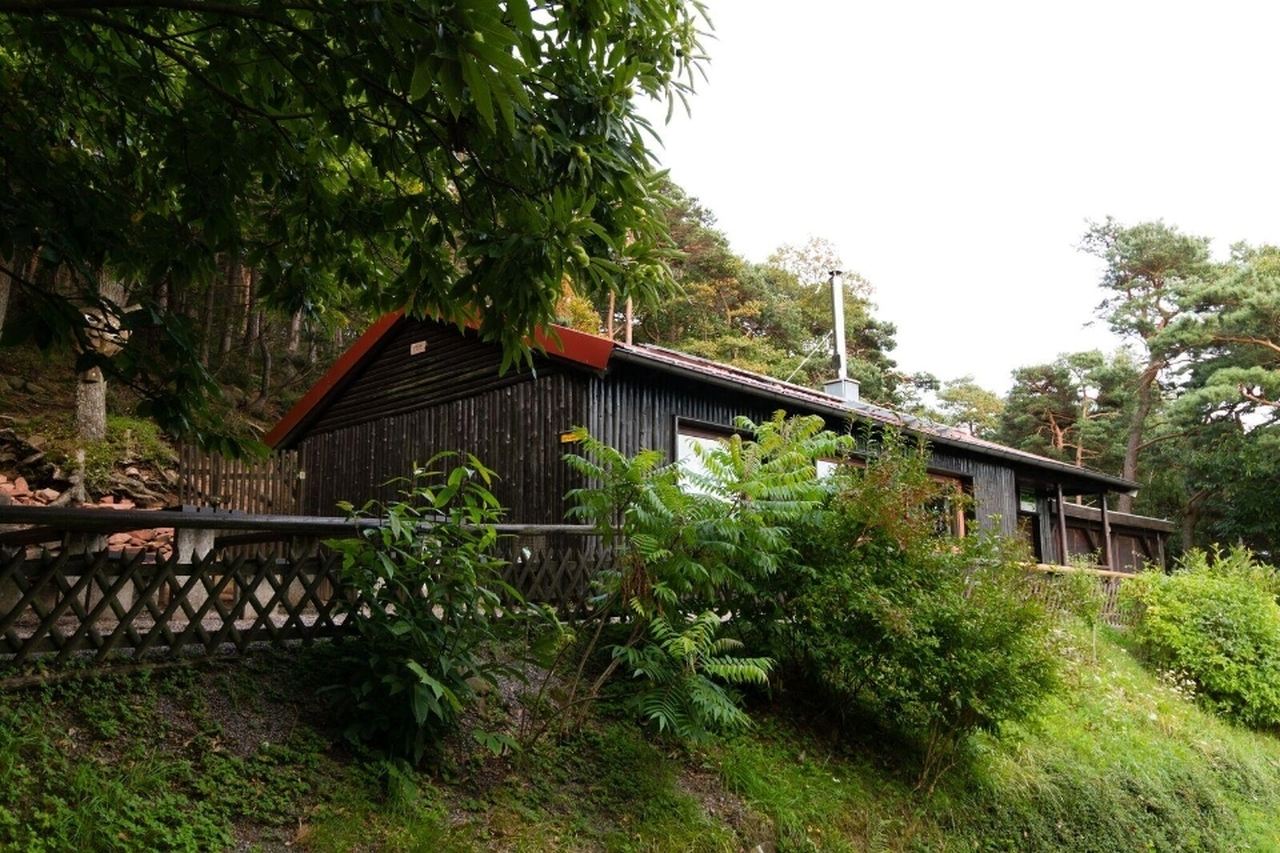 Trifelsblickh&uuml;tte