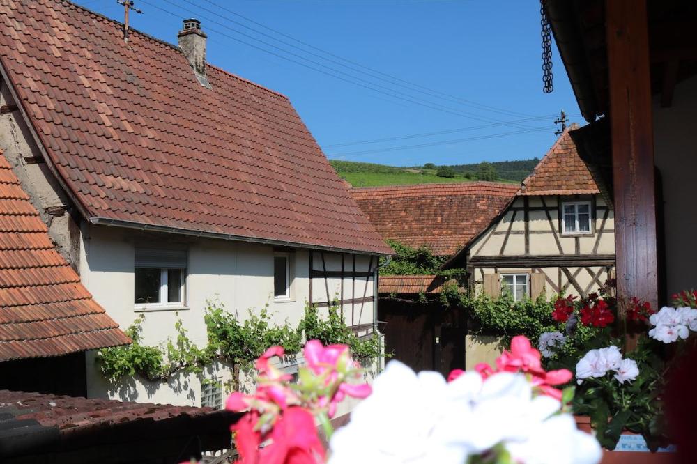 Ferienwohnung Schulz
