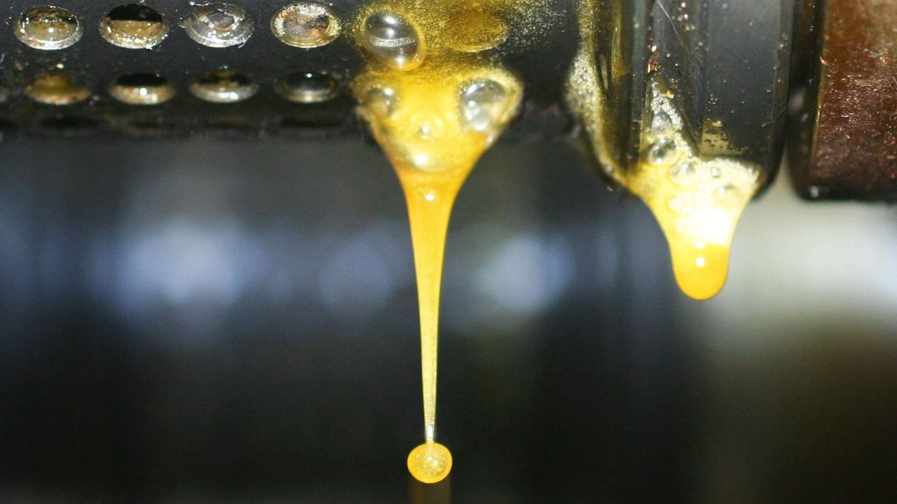 Wasgau &Ouml;lm&uuml;hle