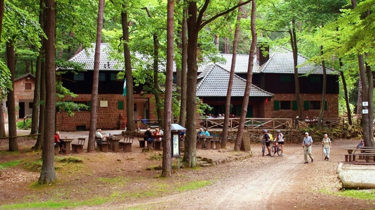 Sehzentrum Haus des Sehens