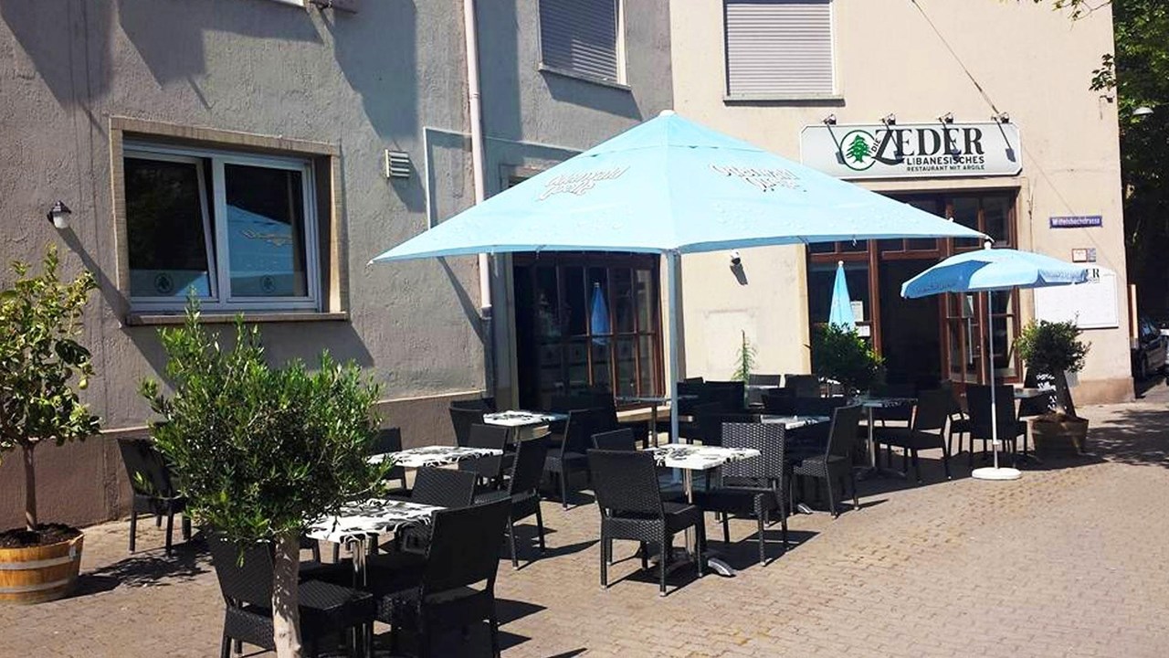 Die Zeder Ludwigshafen