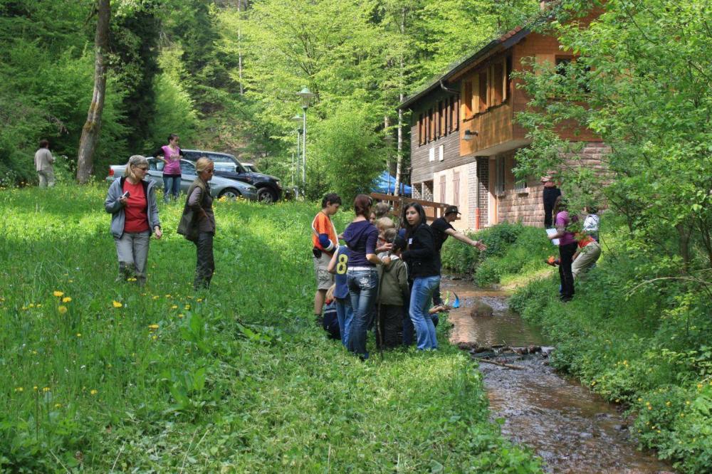 Wolfsschluchth&uuml;tte