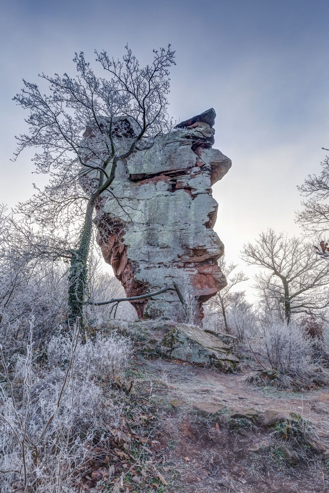 Burg Anebos über Annweiler